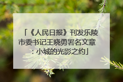 《人民日报》刊发乐陵市委书记王晓勇署名文章：小城的光影之约