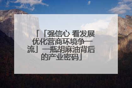 「强信心 看发展 优化营商环境争一流」一瓶胡麻油背后的产业密码