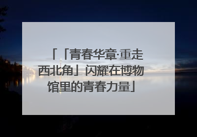 「青春华章·重走西北角」闪耀在博物馆里的青春力量