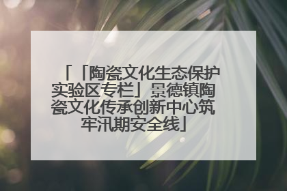「陶瓷文化生态保护实验区专栏」景德镇陶瓷文化传承创新中心筑牢汛期安全线