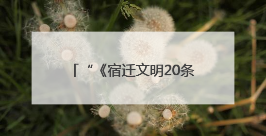 “《宿迁文明20条》这十年·回顾与展望”图片征集启事