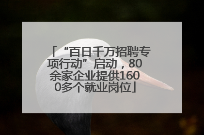 “百日千万招聘专项行动”启动，80余家企业提供1600多个就业岗位