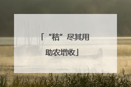 “秸”尽其用 助农增收