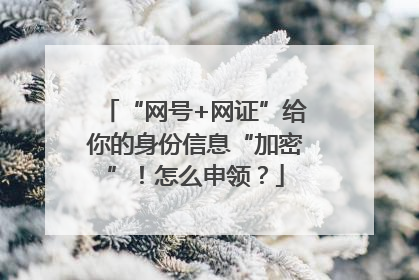 “网号+网证”给你的身份信息“加密”！怎么申领？