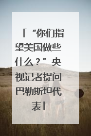 “你们指望美国做些什么？”央视记者提问巴勒斯坦代表