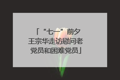 “七一”前夕 王宗华走访慰问老党员和困难党员