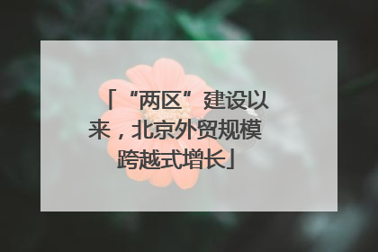 “两区”建设以来，北京外贸规模跨越式增长