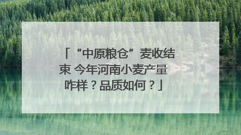 “中原粮仓”麦收结束 今年河南小麦产量咋样？品质如何？