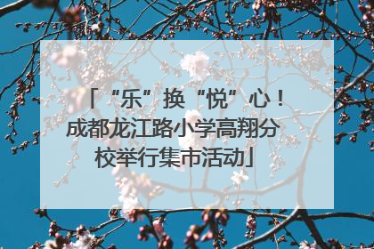 “乐”换“悦”心！成都龙江路小学高翔分校举行集市活动