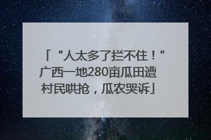 “人太多了拦不住！”广西一地280亩瓜田遭村民哄抢，瓜农哭诉