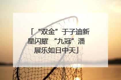 “双金”于子迪新星闪耀 “九冠”潘展乐如日中天
