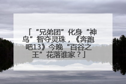 “兄弟团”化身“神鸟”智夺灵珠，《奔跑吧13》今晚“百谷之王”花落谁家？