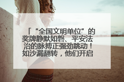 “全国文明单位”的奖牌静默如磐、平安法治的脉搏正强劲跳动！如沙漏翻转，他们开启了全新的计时