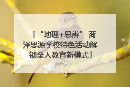 “地理+思辨” 菏泽思源学校特色活动解锁全人教育新模式