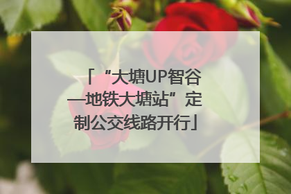“大塘UP智谷—地铁大塘站”定制公交线路开行
