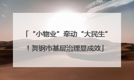 “小物业”牵动“大民生”！舞钢市基层治理显成效