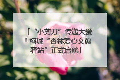 “小剪刀”传递大爱！柯城“杏林爱心义剪驿站”正式启航