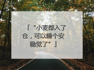 “小麦都入了仓，可以睡个安稳觉了”