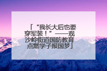 “我长大后也要穿军装！”——观沙岭街道国防教育点燃学子报国梦