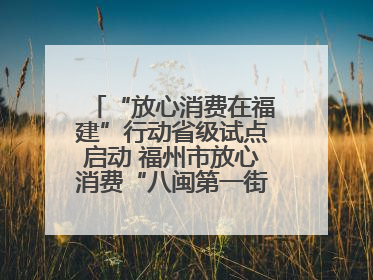 “放心消费在福建”行动省级试点启动 福州市放心消费“八闽第一街”开街
