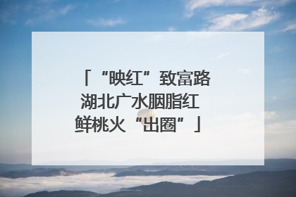 “映红”致富路 湖北广水胭脂红鲜桃火“出圈”