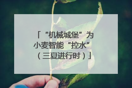 “机械城堡”为小麦智能“控水”（三夏进行时）