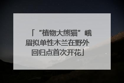 “植物大熊猫”峨眉拟单性木兰在野外回归点首次开花