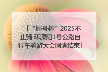 “椰号杯”2025不止骑·环溧阳1号公路自行车骑游大会圆满结束