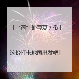 “荷”处寻夏？带上这份打卡地图出发吧