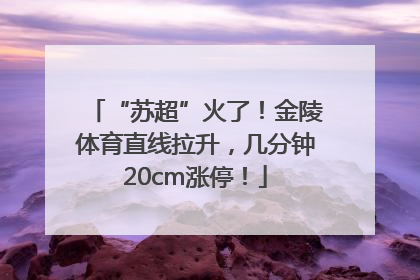 “苏超”火了！金陵体育直线拉升，几分钟20cm涨停！