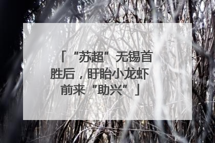 “苏超”无锡首胜后，盱眙小龙虾前来“助兴”