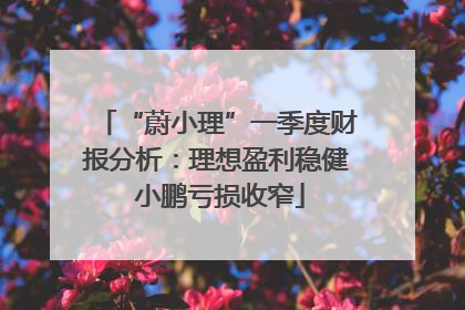 “蔚小理”一季度财报分析：理想盈利稳健 小鹏亏损收窄