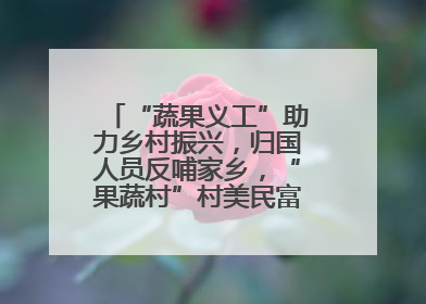“蔬果义工”助力乡村振兴，归国人员反哺家乡，“果蔬村”村美民富香飘远近