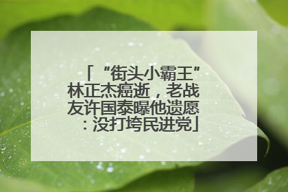 “街头小霸王”林正杰癌逝，老战友许国泰曝他遗愿：没打垮民进党