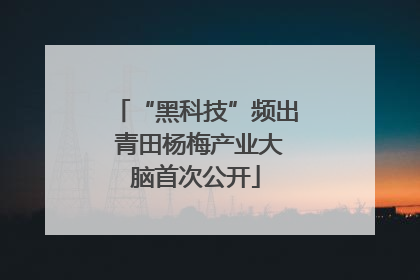 “黑科技”频出 青田杨梅产业大脑首次公开