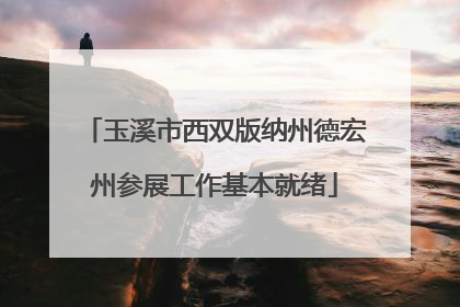 玉溪市西双版纳州德宏州参展工作基本就绪