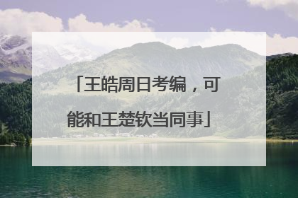 王皓周日考编，可能和王楚钦当同事