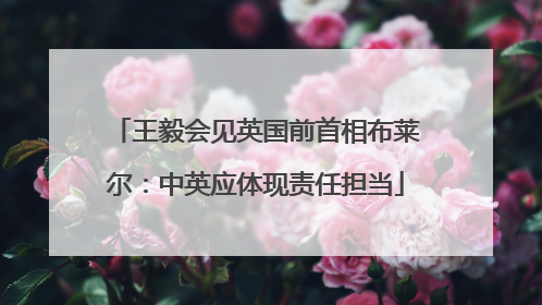 王毅会见英国前首相布莱尔：中英应体现责任担当