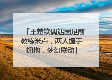 王楚钦偶遇国足前教练米卢，两人握手拥抱，梦幻联动