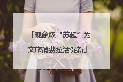现象级“苏超”为文旅消费拉活促新