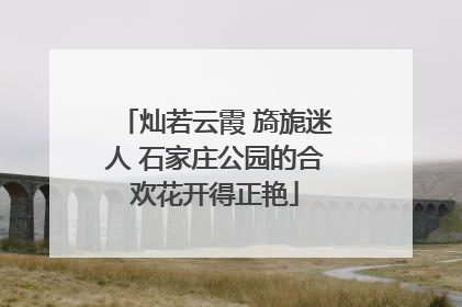 灿若云霞 旖旎迷人 石家庄公园的合欢花开得正艳
