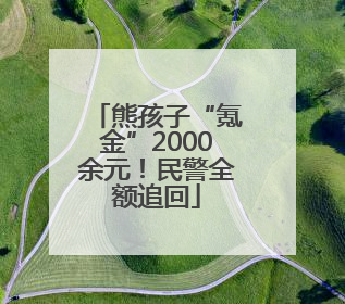 熊孩子“氪金”2000余元！民警全额追回