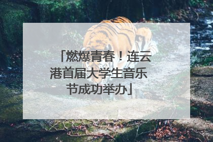 燃爆青春！连云港首届大学生音乐节成功举办