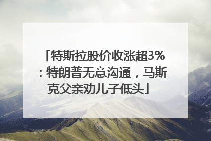 特斯拉股价收涨超3%：特朗普无意沟通，马斯克父亲劝儿子低头