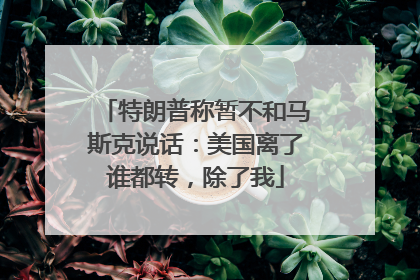 特朗普称暂不和马斯克说话：美国离了谁都转，除了我