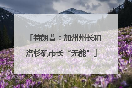 特朗普：加州州长和洛杉矶市长“无能”