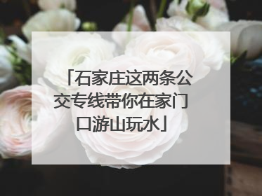 石家庄这两条公交专线带你在家门口游山玩水