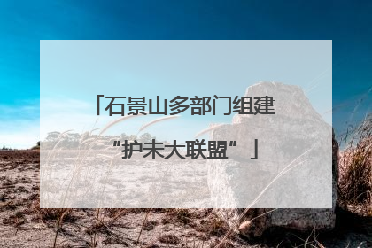 石景山多部门组建“护未大联盟”