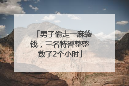 男子偷走一麻袋钱，三名特警整整数了2个小时