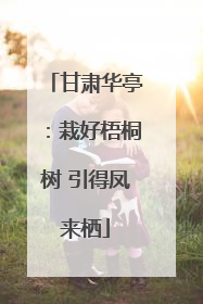 甘肃华亭：栽好梧桐树 引得凤来栖